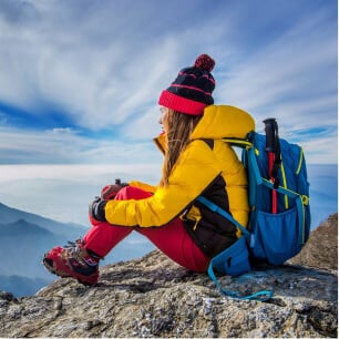 Elephant in Natural Habitat